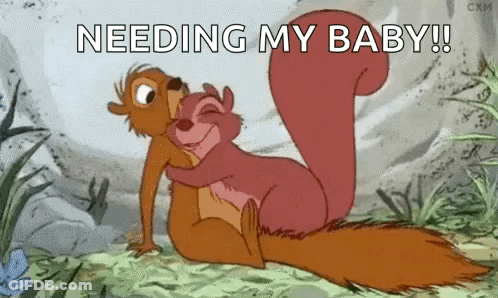 Squirrel Hugging Another Squirrel Saying Needing My Baby GIF