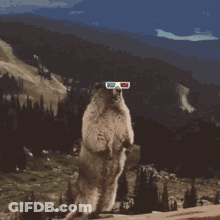 Squirrel In 3D Glasses By Pimp Sign GIF