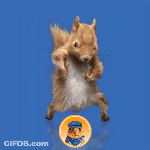 Squirrel In Blue Hat And Polka Dot Bandana GIF