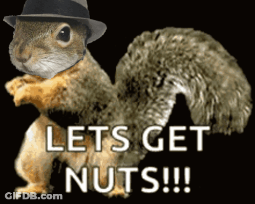 Squirrel In Fedora Says Let's Get Nuts GIF