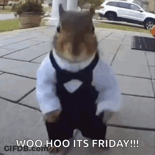 Squirrel In Tuxedo Saying Woo Hoo Its Friday GIF