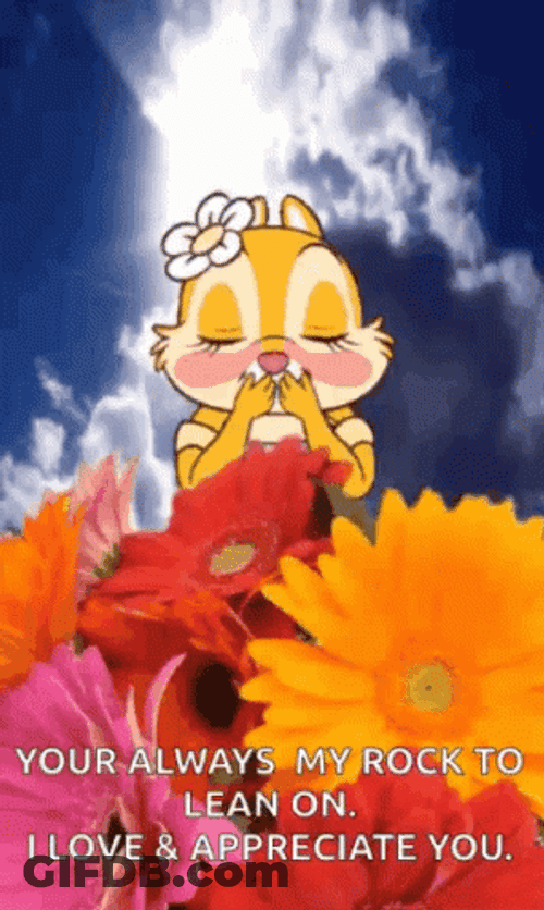 Squirrel Love Appreciation GIF