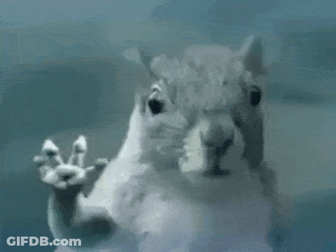 Squirrel Making Peace Sign In Front Of Glass Door GIF
