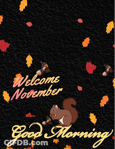Squirrel On Black Background With Leaves Saying Thanks For The Light GIF