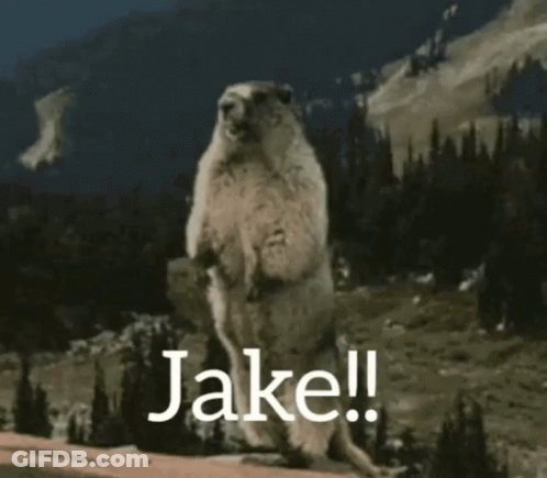 Squirrel On Hind Legs Saying Jake GIF