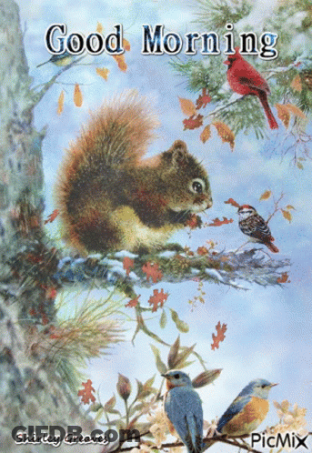 Squirrel On Tree Branch With Birds Good Morning GIF