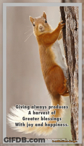 Squirrel On Tree With Quote Giving Always Produces Harvest Of Greater Blessings GIF