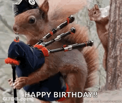 Squirrel Playing Bagpipe In Forest While Another Watches GIF