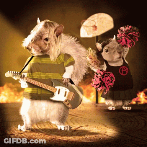 Squirrel Playing Guitar And Cheerleader With Pom Poms GIF