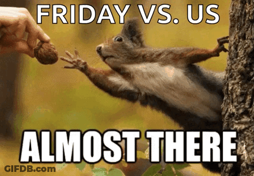 Squirrel Reaching For Nut Friday Vs Us Almost There GIF