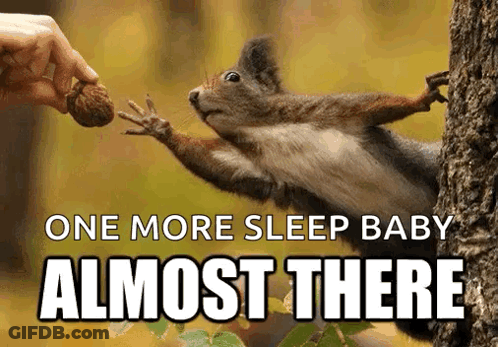 Squirrel Reaching For Nut One More Sleep Baby Almost There GIF