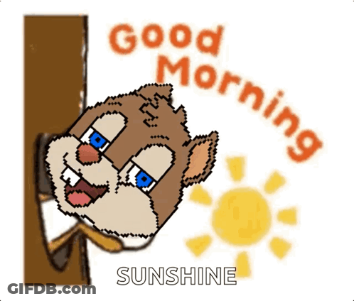 Squirrel Saying Good Morning Sunshine GIF