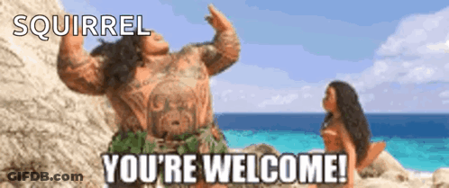 Squirrel Saying You're Welcome On Beach GIF