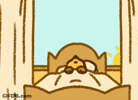 Squirrel Sitting On Bed Rise & S GIF