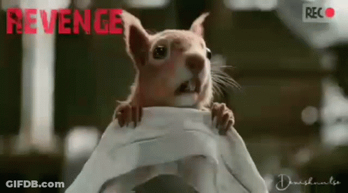 Squirrel Sitting On Cloth Saying Revenge GIF