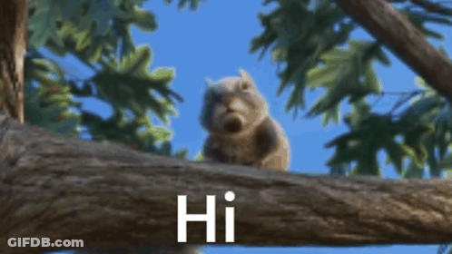 Squirrel Sitting On Tree Branch Saying Hi GIF