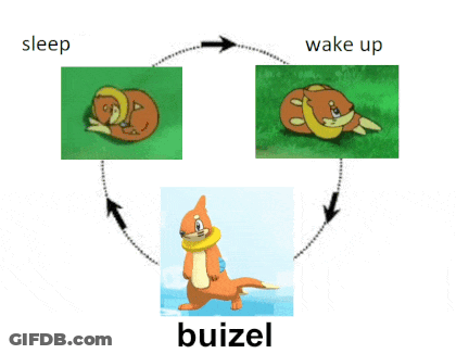 Squirrel Sleeping And Waking Up GIF