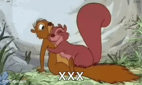Squirrel Standing At Glass Door With Paws Up GIF