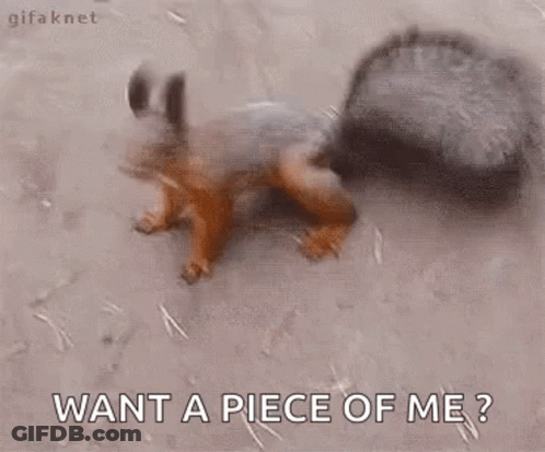 Squirrel Standing Near Hole GIF