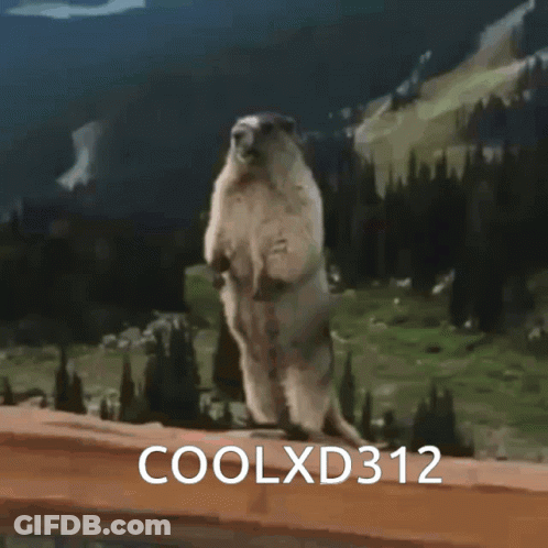 Squirrel Standing On Hind Legs Coolxd312 GIF