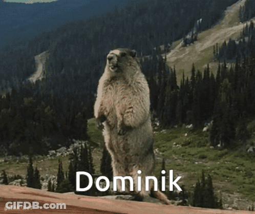 Squirrel Standing On Hind Legs Dominik GIF