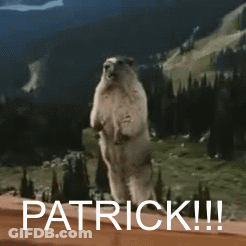 Squirrel Standing On Hind Legs Saying Patrick GIF
