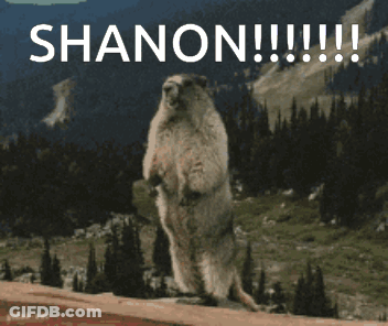 Squirrel Standing On Hind Legs Shanon GIF