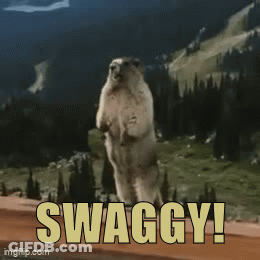 Squirrel Standing On Hind Legs Swaggy GIF