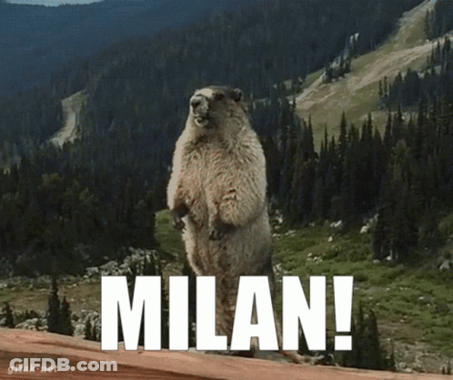 Squirrel Standing On Hind Legs With Milan GIF
