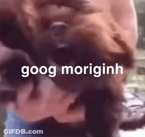 Squirrel Standing On Hind Legs With Ong Hai GIF