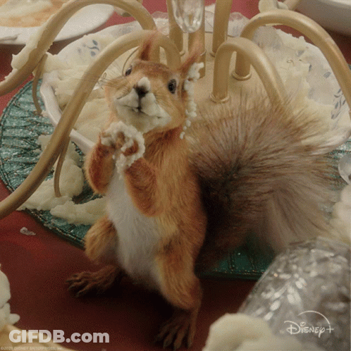 Squirrel Standing On Table With Disney Logo GIF