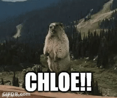 Squirrel Standing With Chloe GIF