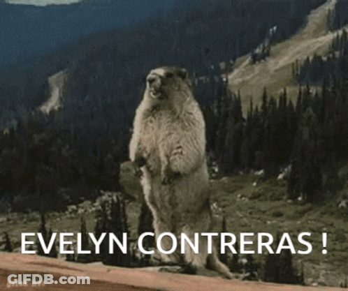 Squirrel Standing With Evelyn Contreras GIF