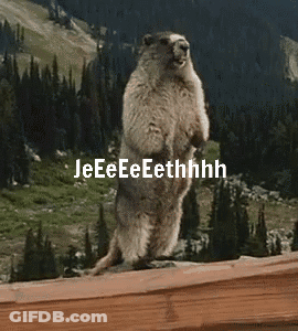 Squirrel Standing With Jeethhhh GIF