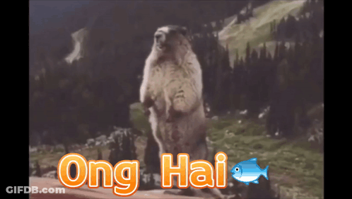 Squirrel Standing With Ong Hai GIF