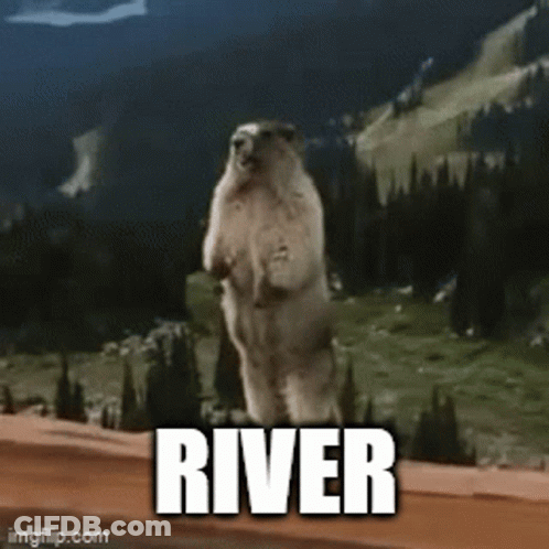 Squirrel Standing With River Above GIF
