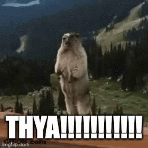 Squirrel Standing With Thya !!! Above GIF