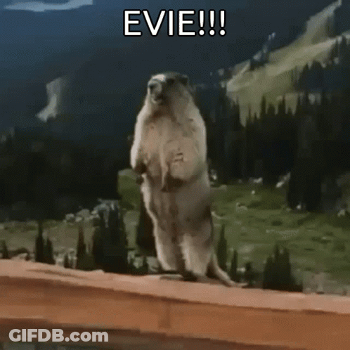 Squirrel Standing With Thya !!! Above GIF