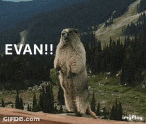 Squirrel Standing With Word Evan GIF