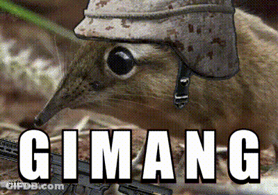 Squirrel Wearing Helmet Holding Gun Giman-G GIF