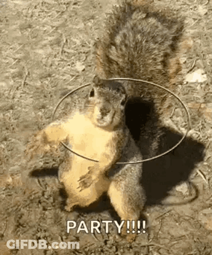Squirrel Wearing Hula Hoop GIF