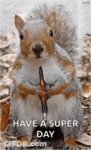 Squirrel Wearing Leash Saying Have A Super Day GIF