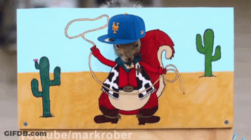 Squirrel Wearing New York Mets Baseball Cap GIF