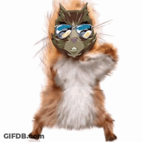 Squirrel Wearing Sunglasses And Mask Standing GIF