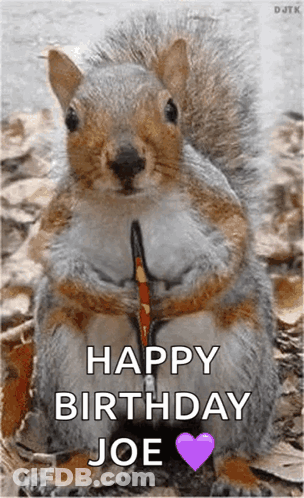 Squirrel With Leash Saying Have A Super Day GIF