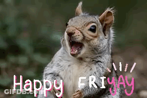 Squirrel With Open Mouth Happy Friday GIF