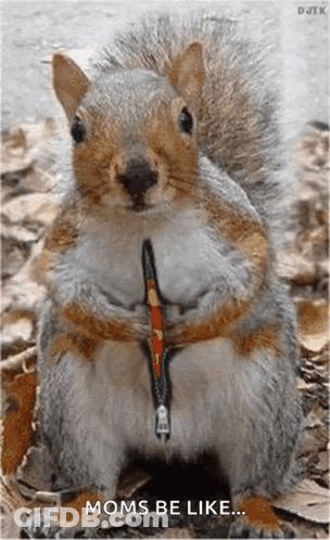 Squirrel With Zipper Neck Says Moms Be Like GIF