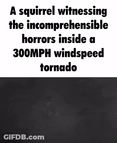 Squirrel Witnessing Horrors Inside 300 MPH Tornado GIF