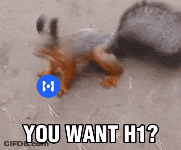 Squirrel You Want GIF