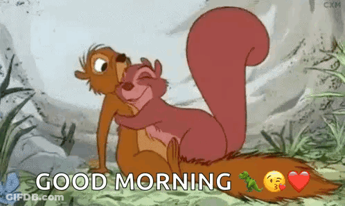 Squirrels Hugging Good Morning GIF